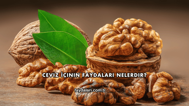 Ceviz İçinin Faydaları Nelerdir?