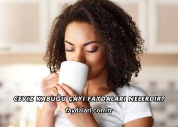 Ceviz Kabuğu Çayı Faydaları Nelerdir?