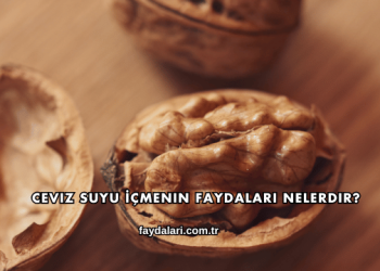 Ceviz Suyu İçmenin Faydaları Nelerdir?
