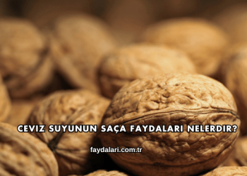 Ceviz Suyunun Saça Faydaları Nelerdir?
