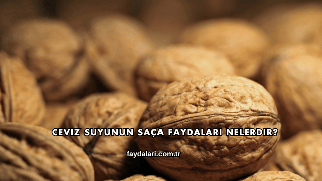 Ceviz Suyunun Saça Faydaları Nelerdir?