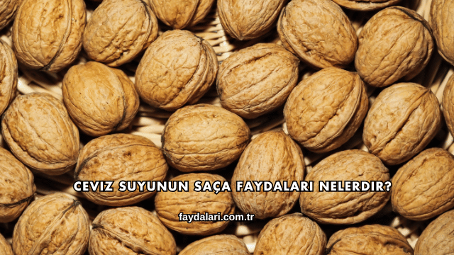 Ceviz Suyunun Saça Faydaları Nelerdir?