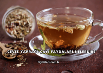 Ceviz Yaprağı Çayı Faydaları Nelerdir?