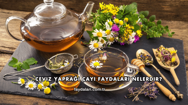 Ceviz Yaprağı Çayı Faydaları Nelerdir?
