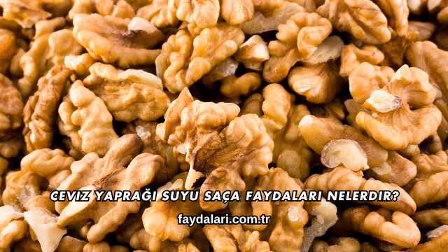 Ceviz Yaprağı Suyu Saça Faydaları Nelerdir?