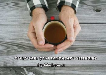 Ceviz Zarı Çayı Faydaları Nelerdir?