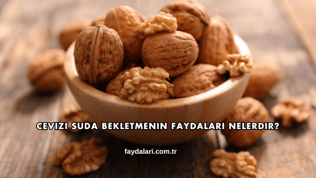Cevizi Suda Bekletmenin Faydaları Nelerdir?