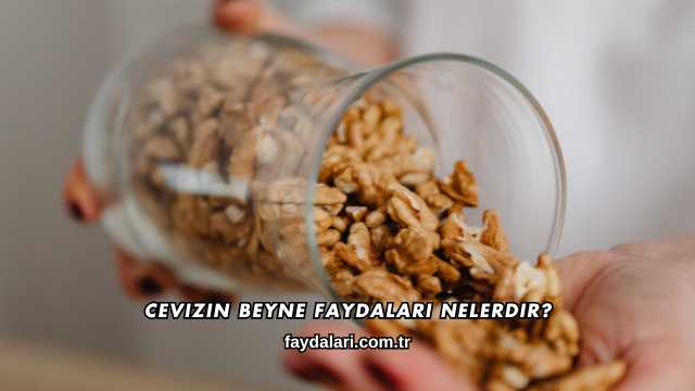 Cevizin Beyne Faydaları Nelerdir?