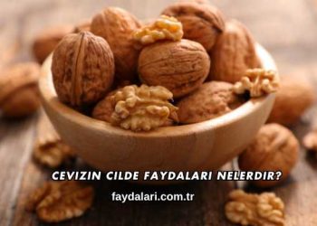 Cevizin Cilde Faydaları Nelerdir?