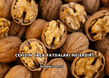 Cevizin Saça Faydaları Nelerdir?