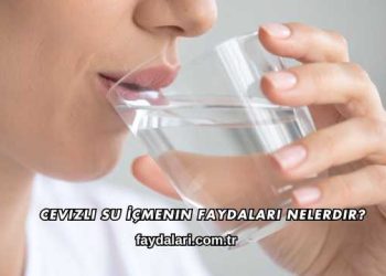 Cevizli Su İçmenin Faydaları Nelerdir?