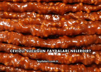 Cevizli Sucuğun Faydaları Nelerdir?