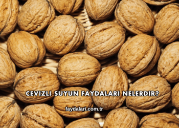 Cevizli Suyun Faydaları Nelerdir?