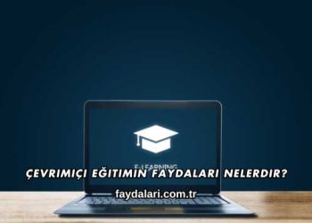Çevrimiçi Eğitimin Faydaları Nelerdir?