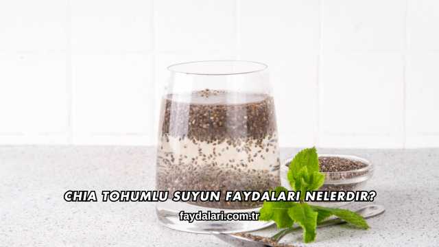 Chia Tohumlu Suyun Faydaları Nelerdir?