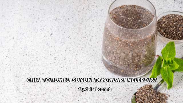 Chia Tohumlu Suyun Faydaları Nelerdir?