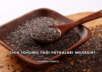 Chia Tohumu Yağı Faydaları Nelerdir?
