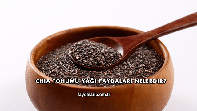 Chia Tohumu Yağı Faydaları Nelerdir?