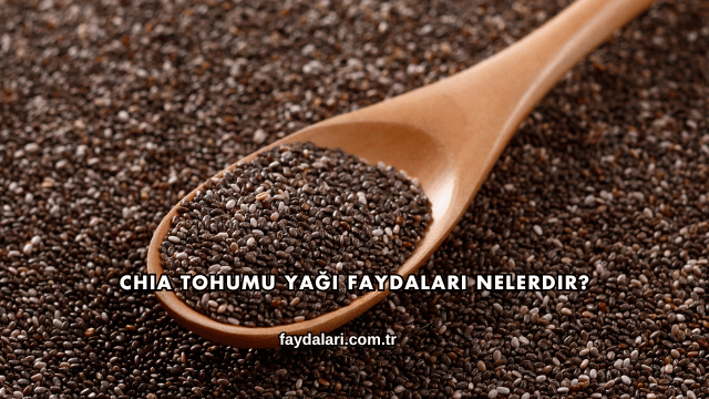 Chia Tohumu Yağı Faydaları Nelerdir?