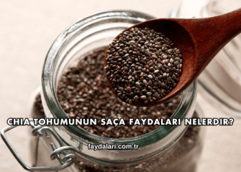 Chia Tohumunun Saça Faydaları Nelerdir?