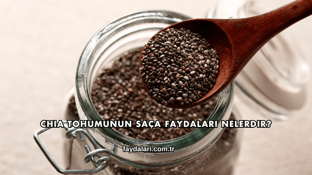 Chia Tohumunun Saça Faydaları Nelerdir?