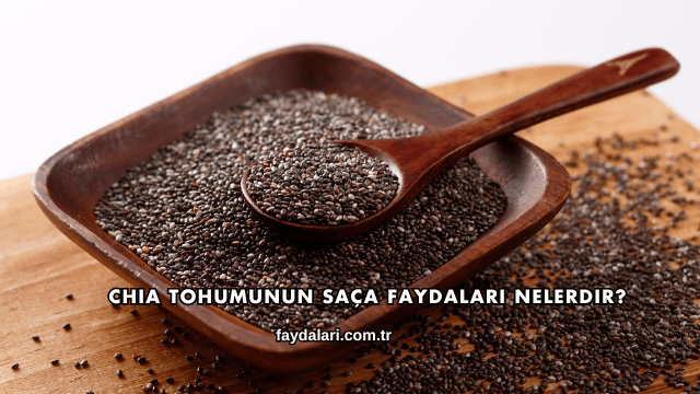 Chia Tohumunun Saça Faydaları Nelerdir?