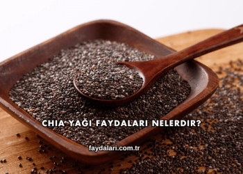 Chia Yağı Faydaları Nelerdir?