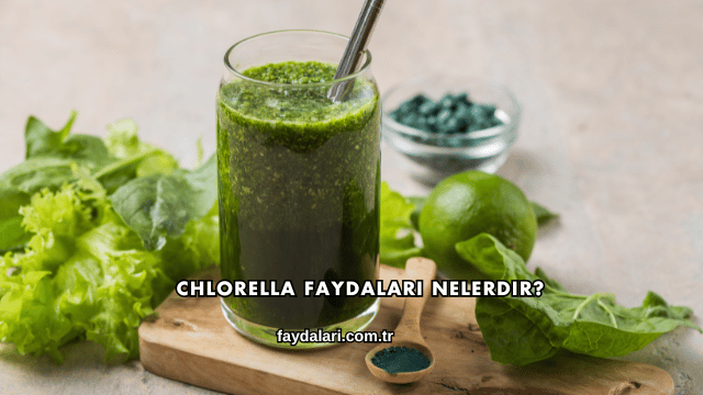 Chlorella Faydaları Nelerdir?