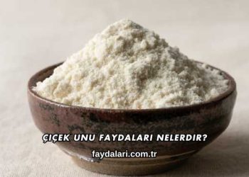 Çiçek Unu Faydaları Nelerdir?