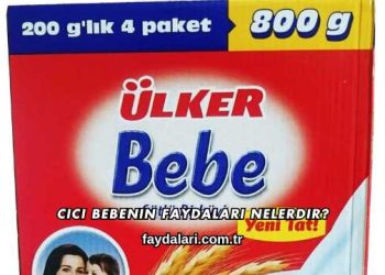 Cici Bebenin Faydaları Nelerdir?
