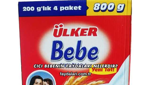 Cici Bebenin Faydaları Nelerdir?