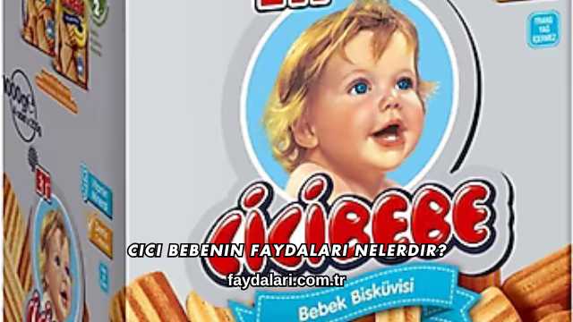 Cici Bebenin Faydaları Nelerdir?