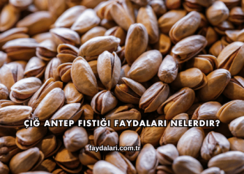 Çiğ Antep Fıstığı Faydaları Nelerdir?