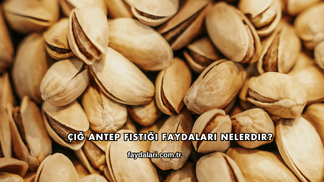 Çiğ Antep Fıstığı Faydaları Nelerdir?