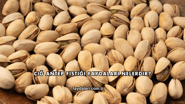 Çiğ Antep Fıstığı Faydaları Nelerdir?