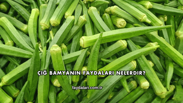 Çiğ Bamyanın Faydaları Nelerdir?