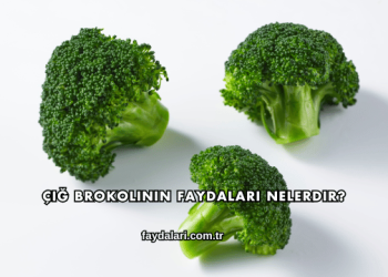 Çiğ Brokolinin Faydaları Nelerdir?