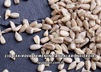 Çiğ Çekirdek Yemenin Faydaları Nelerdir?