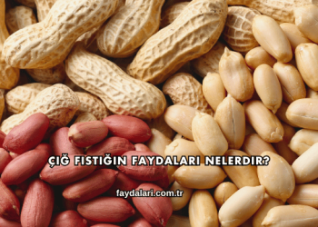 Çiğ Fıstığın Faydaları Nelerdir?