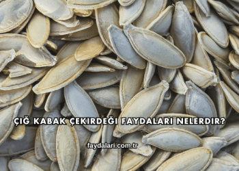 Çiğ Kabak Çekirdeği Faydaları Nelerdir?