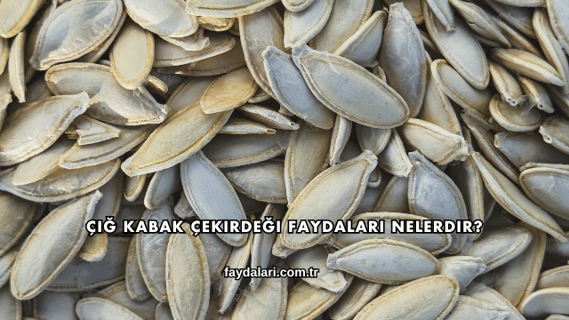 Çiğ Kabak Çekirdeği Faydaları Nelerdir?