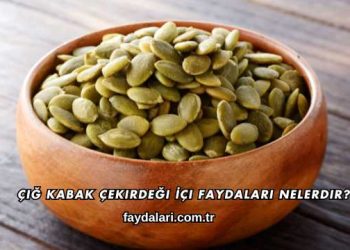 Çiğ Kabak Çekirdeği İçi Faydaları Nelerdir?