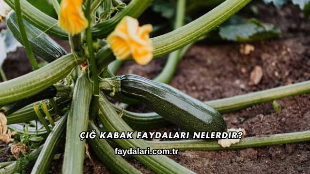 Çiğ Kabak Faydaları Nelerdir?