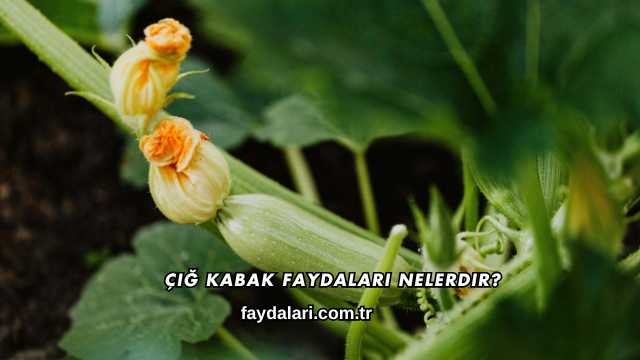 Çiğ Kabak Faydaları Nelerdir?