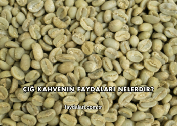 Çiğ Kahvenin Faydaları Nelerdir?
