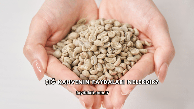 Çiğ Kahvenin Faydaları Nelerdir?