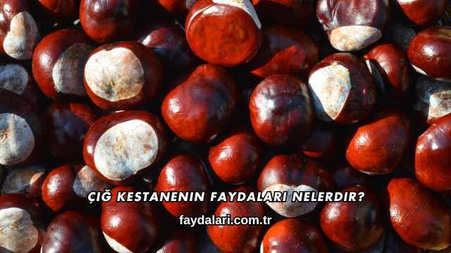 Çiğ Kestanenin Faydaları Nelerdir?