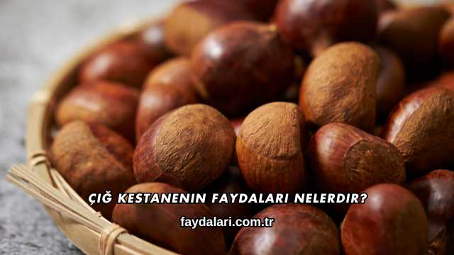 Çiğ Kestanenin Faydaları Nelerdir?