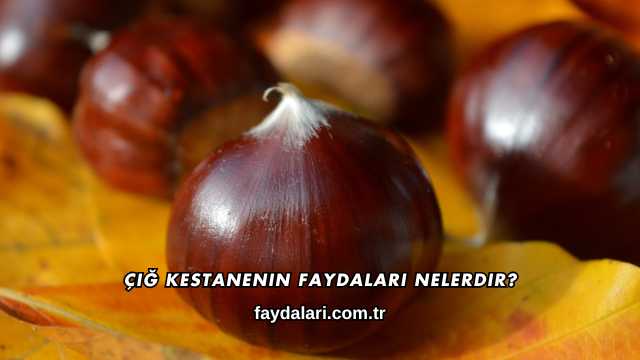 Çiğ Kestanenin Faydaları Nelerdir?