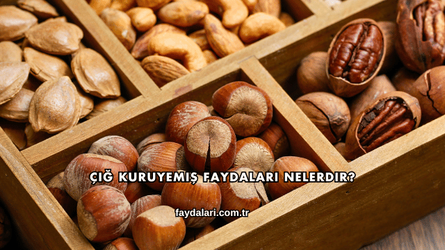 Çiğ Kuruyemiş Faydaları Nelerdir?